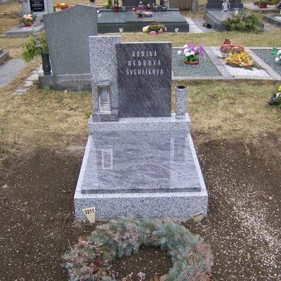 100 2001