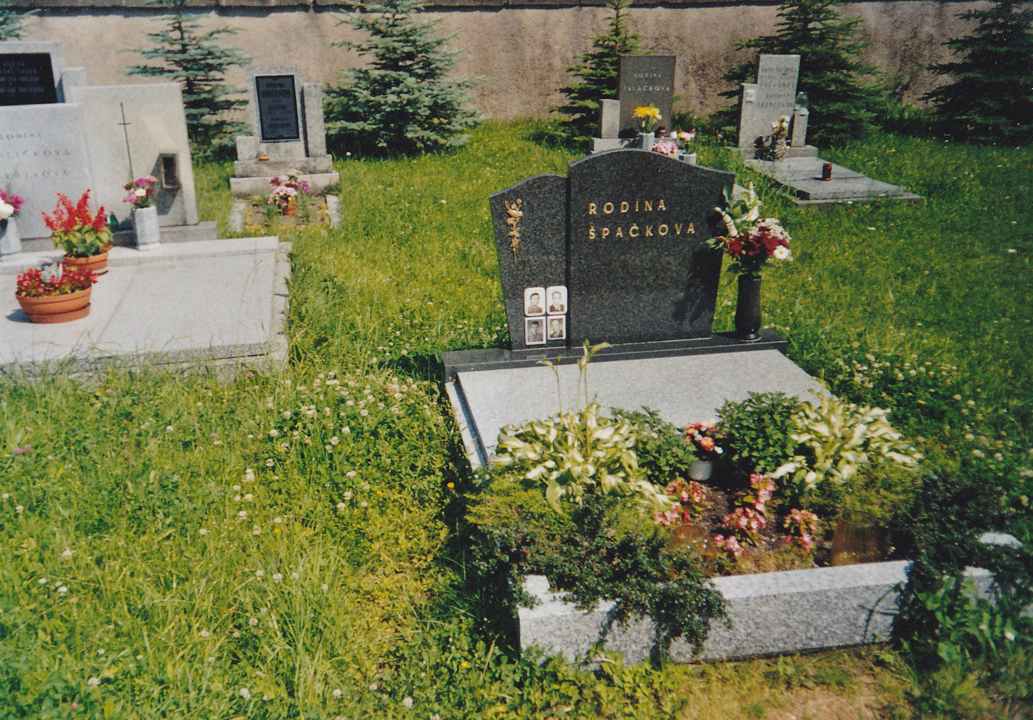 img 0003